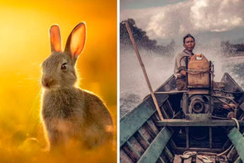 17 лучших фотографий, которые победили на конкурсе National Geographic Traveller 2021
